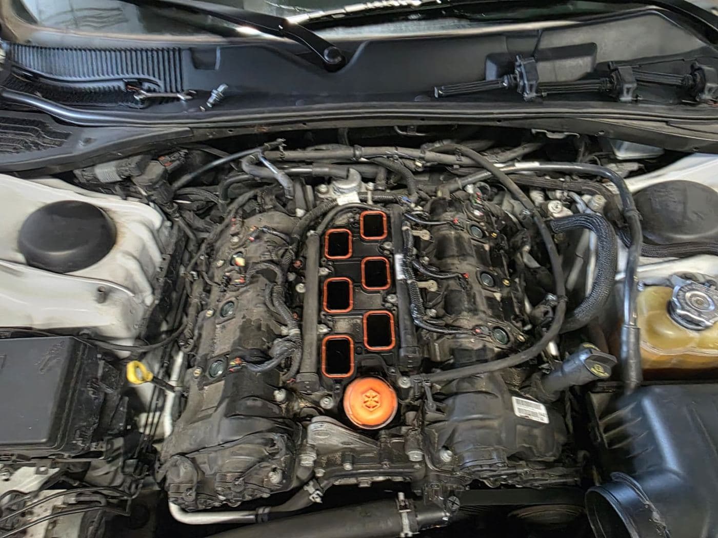 Open V6 engine in the shop with new gaskets ready to install